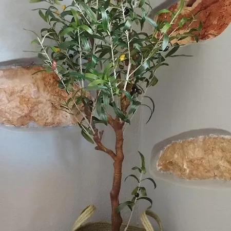 Spartines Lejlighed Votsi (Alonnisos)